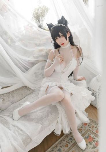 www免费观看_高清动漫免费观看